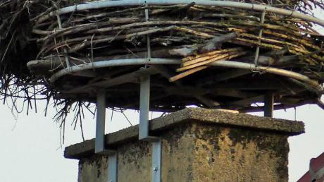 Das Storchennest auf dem Dach des Kettershauser Kindergartens soll weichen. Künftig sollen die Tiere außerhalb des Dorfes nisten. 	 	