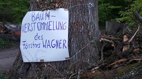 Der Kreisvorsitzende des Bundes Naturschutz, Bernd Kurus-Nägele, hat mit einem Protestplakat auf den starken Rückschnitt einer 180 Jahre alten Eiche bei Dattenhausen hingewiesen. 	 	
