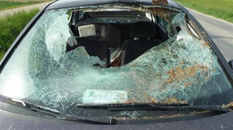 Ein großes Loch hinterließ der Baumstamm in der Windschutzscheibe des Autos. Die beiden Insassen kamen durch großes Glueck mit leichteren Verletzungen davon.