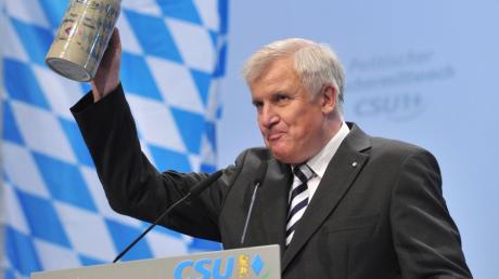 Der CSU-Vorsitzende Horst Seehofer am politischen Aschermittwoch 2012. Archivbild