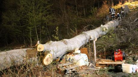Ein rund 30 Meter hoher Baum ist bei Fällarbeiten am Freitagabend auf einen Flüssiggastank in Walkertshofen gestürzt. Der zwei Kubikmeter fassende Tank wurde stark beschädigt. Gas trat aus.