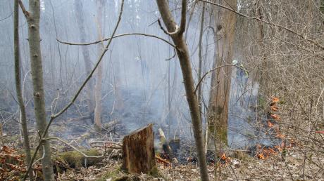 Die Trockenheit vergangener Tage lässt die Waldbrandgefahr zusehends steigen. In Haunstetten ereignete sich einer von mehreren Bränden in der Region.