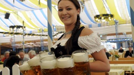 Anna Diehl, Kellnerin im Schaller-Zelt auf dem Plärrer in Augbsurg, hat schwer zu schleppen: Sie trägt gleich sieben Maß Bier gleichzeitig.