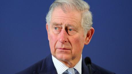 Prinz Charles gab sein Einverständnis zu einem Projekt im  schottischen Dumfies House, mit dem die Zahl der Grauhörnchen  reduziert werden soll. 