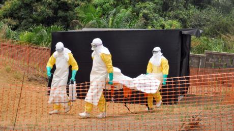 Das Ebola-Virus wütet weiter in Westafrika.