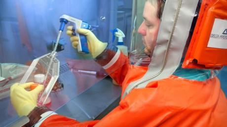 Wissenschaftler arbeiten unter Hochdruck an Mitteln, um das Ebola-Virus einzudämmen. 