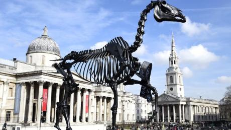 Die Skulptur "Gift Horse" vom deutschen Künstler Hans Haacke auf dem Trafalgar Square in London. 