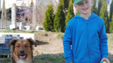 Zusammen mit seiner Hündin Cassy übt der vierjährige Ben jeden Tag mit seiner Orthoprothese zu laufen.