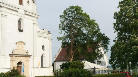 Klosterkirche in Oberelchingen
