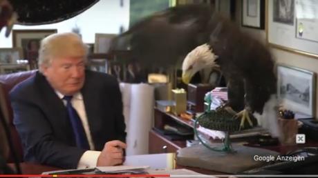 Adler "Uncle Sam" versetzt dem sonst so furchtlosen Trump in Angst.