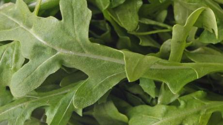 In Rucola wurde eine erhöhte Konzentration an Nitrat festgestellt. Für den Salat gab es keine besser Bewertung als "befriedigend" im Warentest.