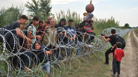 Syrische Flüchtlinge versuchen, den Grenzzaun an der ungarisch-serbischen Grenze bei Röszke zu überwinden (Archivbild).