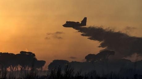Ein Löschflugzeug versucht am Dienstag über einem Pinienwald bei Rom einen Waldbrand zu löschen. Der Wald befindet sich auf dem Weg von Rom ans Meer.