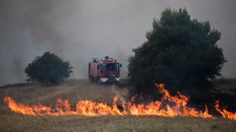 In Griechenland wüten Waldbrände.