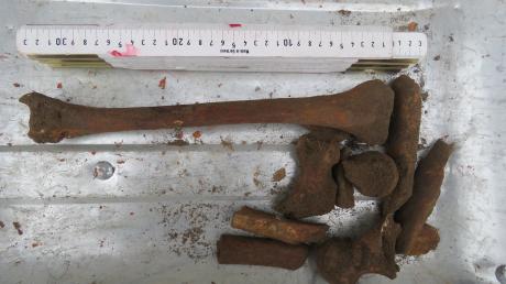 Menschliche Knochen wurden in der Nähe der Waltenhauser Kirche gefunden. 
