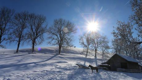 04.02.2019, Bayern, Obergünzburg: Ein Pferd steht im Sonnenschein auf einer Koppel im Schnee
. Foto: Karl-Josef Hildenbrand/dpa +++ dpa-Bildfunk +++