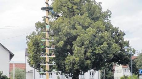 Der Landkreis Günzburg veranstaltet einen Wettbewerb: „Bäume unserer Heimat“ Die Gemeinde Breitenthal wird sich daran beteiligen und die Dorflinde in Nattenhausen vorschlagen. 