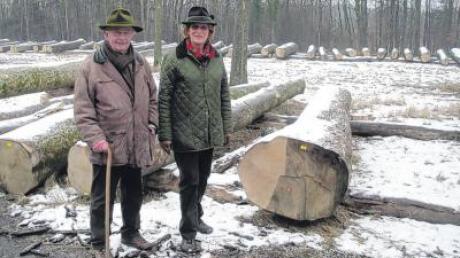 Der teuerste Holzstamm bei der Versteigerung in Leipheim kommt aus Deisenhausen: Der Bergahorn von Monika und Helmut Schwarz wechselte für 17000 Euro den Besitzer. 