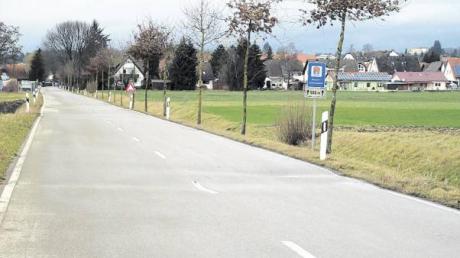 Der Zustand der Straße von Bayersried nach Thannhausen mit vielen Bodenwellen wurde in der Bürgerversammlung in Mindelzell moniert. 	