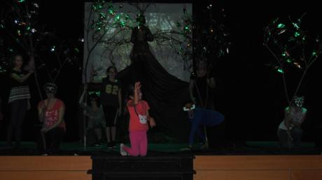 Die aufwendige Eigenproduktion „Nivalis – im Bann der Hexe“ ist die dritte große Musicalshow der TSV-Tanzgruppe Escalada aus Balzhausen. 	
