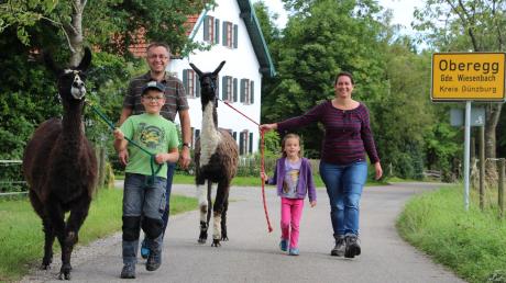 Die beiden Lamas gehören mittlerweile zum Oberegger Ortsbild. Von links Jakob, Wolfgang, Sophie und Steffi Konrad mit Lima und Emil. 