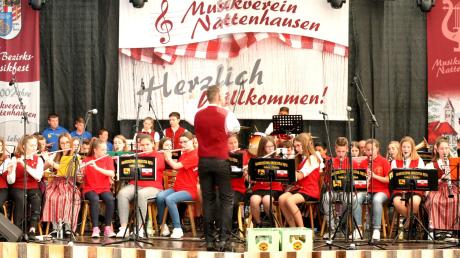 Bezirksdirigent Patrick Scheel dirigierte beim gemeinsamen Finale der Jungmusiker aus drei Nationen das Stück „Freude schöner Götterfunken“. 