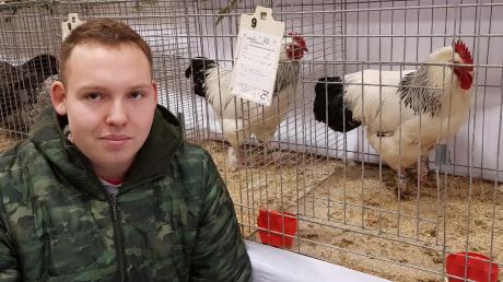 Der 20jährige Tommy-Lee Jeckle gehörte zur jüngeren Generation der Züchter bei der Geflügelausstellung in der Neuburger Mehrweckhalle. Er stellte vier Sundheimer Hühner aus. 