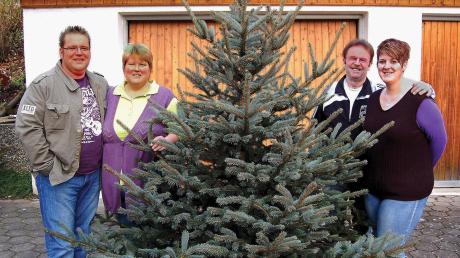 Familie Langenmaier hilft mit ihrem Christbaumverkauf heuer der kranken Sophie. Pro verkauftem Baum wird ein Euro gespendet. 	