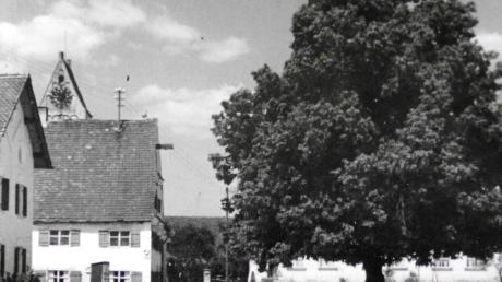 Bis zum Jahr 1969 leistete das Gasthaus Zum Ochsen der Linde Gesellschaft.  	