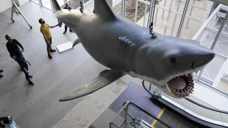 Eine Kunststoff-Nachbildung von «Bruce», dem Hai aus Steven Spielbergs «Der weiße Hai» von 1975, im Academy Museum of Motion Pictures.