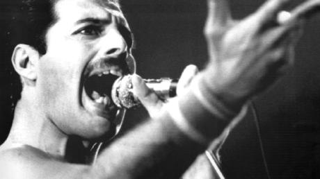 Freddie Mercury ist unerreicht, aber die Coverband "Queen Alive" performt in Fischach die größten Hits von Queen.
