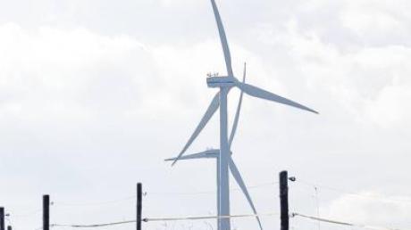 Der Bund Naturschutz sieht Biogasanlagen kritisch und plädiert für Bau von Windrädern
