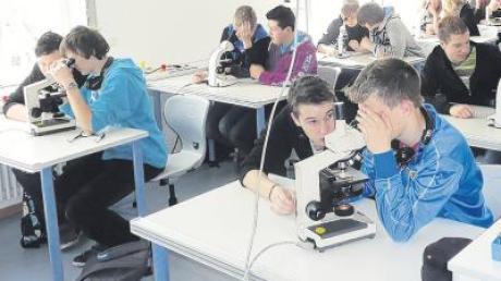 Praktische Erfahrungen im Mikroskopieren sammelten die Fuchstaler Neuntklässler bei einem Projekttag an der Universität München.  