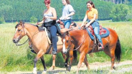 Insgesamt 124 Pferdefreunde beteiligten sich an dem Fuchstaler Wanderritt.  