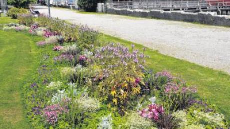 In der Seeanlage in Schondorf sind kürzlich neue Blumen gesetzt worden, die Rechnung wurde jetzt dem Gemeinderat präsentiert.  