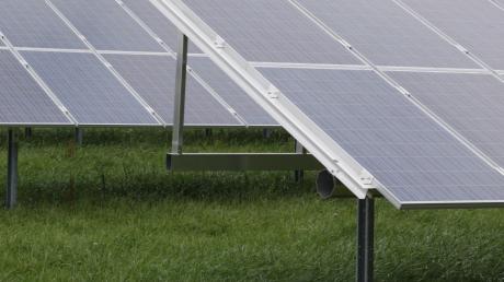 Die Gemeinde Penzing wird bei Epfenhausen einen Solarpark betreiben. 