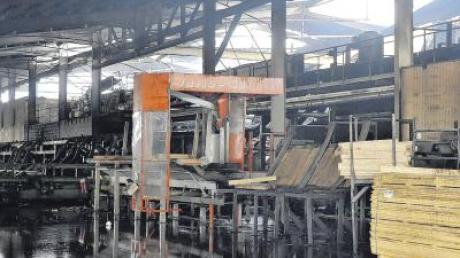 Die Produktionshalle im Sägewerk Pröbstl in Asch am Tag nach dem Großbrand. Die Ursache für das Feuer ist nach Angaben der Kriminalpolizei noch nicht sicher. 