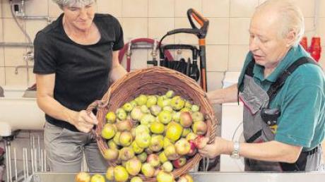 Ein Saft aus Äpfeln und Birnen wird aus dem Korbinhalt entstehen. Luitgard Ruile und Anton Reiter kippen die Früchte auf die Rampe der Presse. 