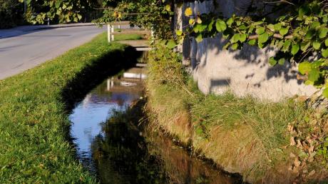 Der Scheuringer Mühlbach plätschert gemächlich dahin. Aber immer wieder kommt es zu Hochwassern – jetzt soll der Schutz verbessert werden. 
