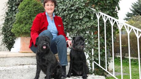 Theresia Busen, die Initiatorin und erste Vorsitzende des Vereins Hund&Besuch, mit ihren beiden Mittelschnauzer-Hündinnen Paula und Irmie. 
