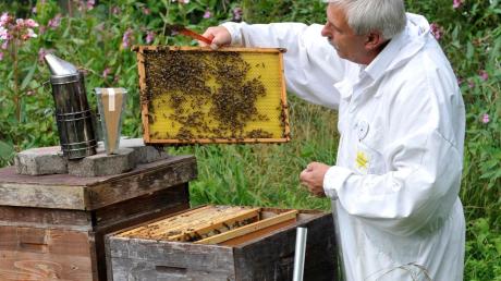 Manfred Hederer ist Präsident des deutschen Berufs- und Erwerbsimkerbundes. Hier steht er an seinem Bienenstock in Utting im „Tal des Lebens“. 

