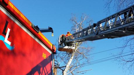 Gefährlicher Arbeitsplatz: In Schondorf mussten Einsatzkräfte der Feuerwehr Dießen einen in die Oberleitung gestürzten Baum entfernen. Ohne die Leitungen, die den Baum auffingen, wäre das Haus vermutlich stark beschädigt worden. 