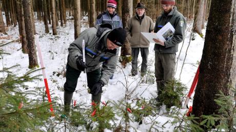 Ein Blick in den Wald: Bei der Auftaktveranstaltung für das forstliche Gutachten zur Lage der Waldverjüngung tauschten sich Förster, Waldbesitzer und Jagdverantwortliche aus. 
