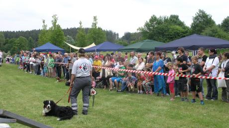Ständig umlagert waren die Vorführungen der Rettungshundestaffel des Bayerischen Roten Kreuzes.