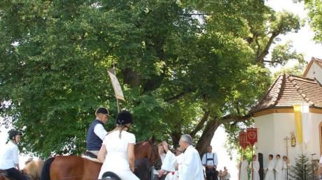 Pfarrer Richard Rietz segnet vor der Willibaldskapelle in Unterfinning Pferde und Ponys. 	