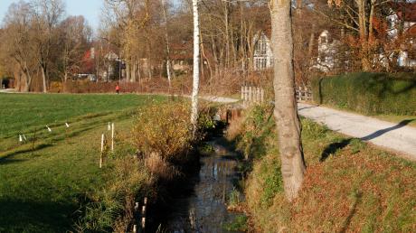 Wie soll es mit dem Mühlbach in Windach weitergehen? Die Gemeinde will im Kontakt mit dem Wasserwirtschaftsamt bleiben, um möglichst viel für den Erhalt des Baches tun zu können. 