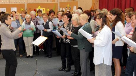 Seine Premiere erlebte der Chor der Pfarreiengemeinschaft Fuchstal unter Leitung von Christine Freer. 