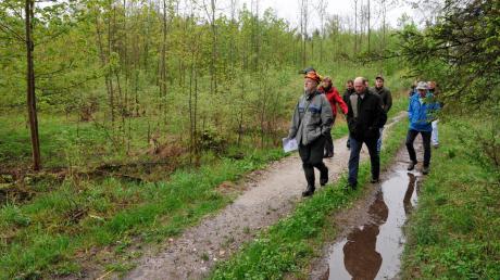 Standortgemäßen Wäldern (hier eine Laubholz-Aufforstung im Scheuringer Gemeindewald, durch die Ludwig Pertl im Frühjahr 2015 führte) kommt beim Schutz und der Verbesserung des Bodens eine große Bedeutung zu. 