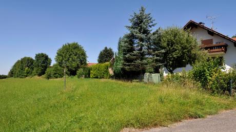 Die Bepflanzung im Kapellenweg in Mundraching war zuletzt ein Streitpunkt.