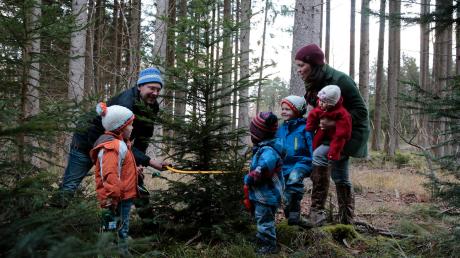 Georg Kölbl sucht sich mit seiner Familie im eigenen Apfeldorfer Wald den Christbaum aus. Im Bild sind Papa Georg Kölbl, Hannes, Franz, Georg, Klara und Ulrike Kölbl zu sehen.